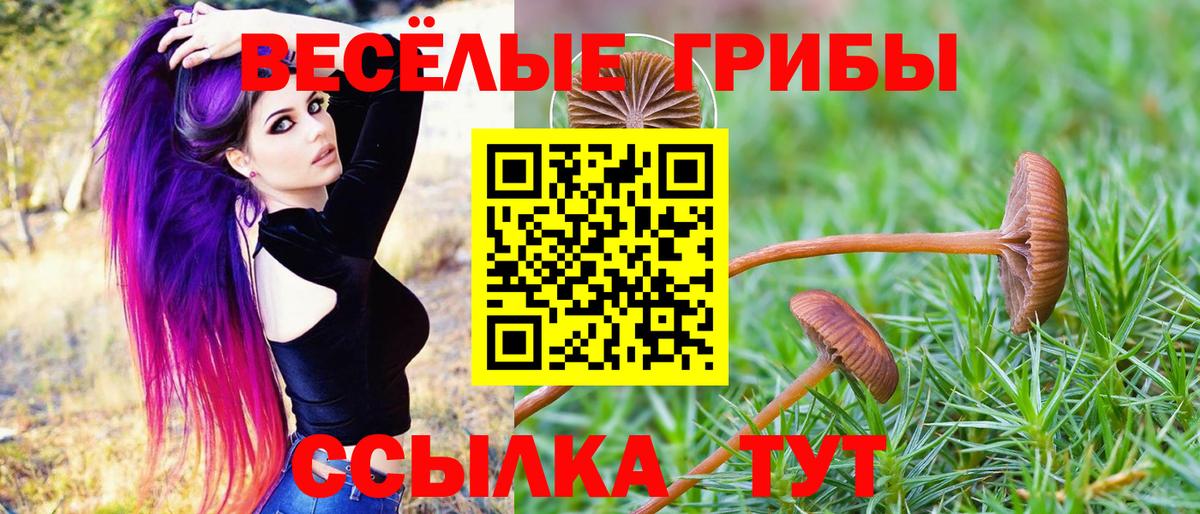 Галлюциногенные грибы MAGIC MUSHROOMS  Вход с VPN  Мелеуз 