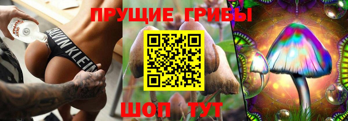 Псилоцибиновые грибы Psilocybe Мелеуз